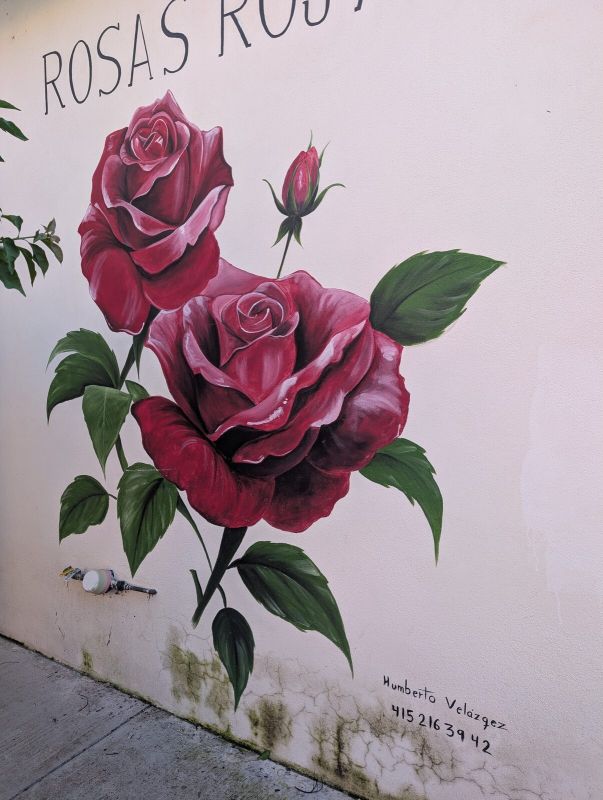Two red roses