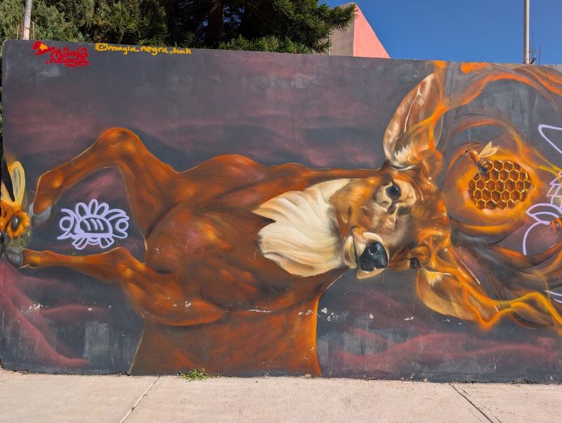 Decaying deer with bees
