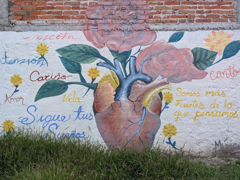Anatomical heart with roses