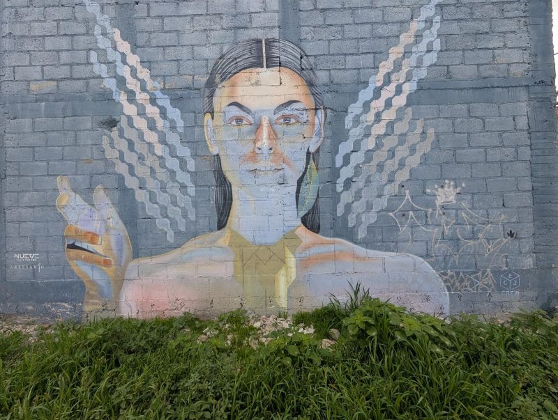 Woman with raised hand