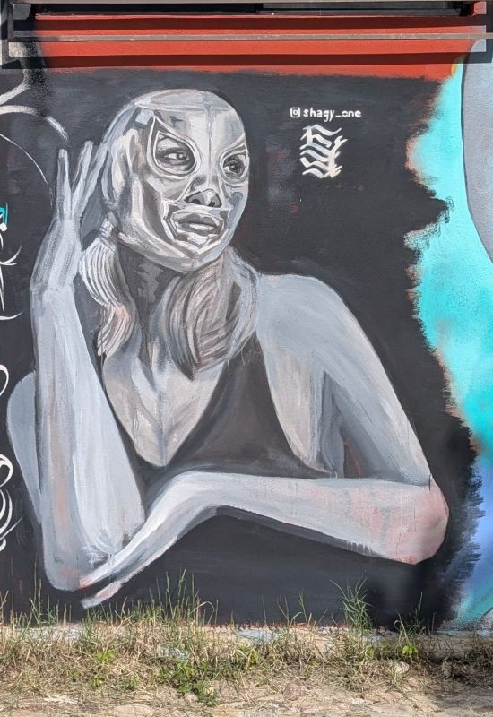 Masked luchadora