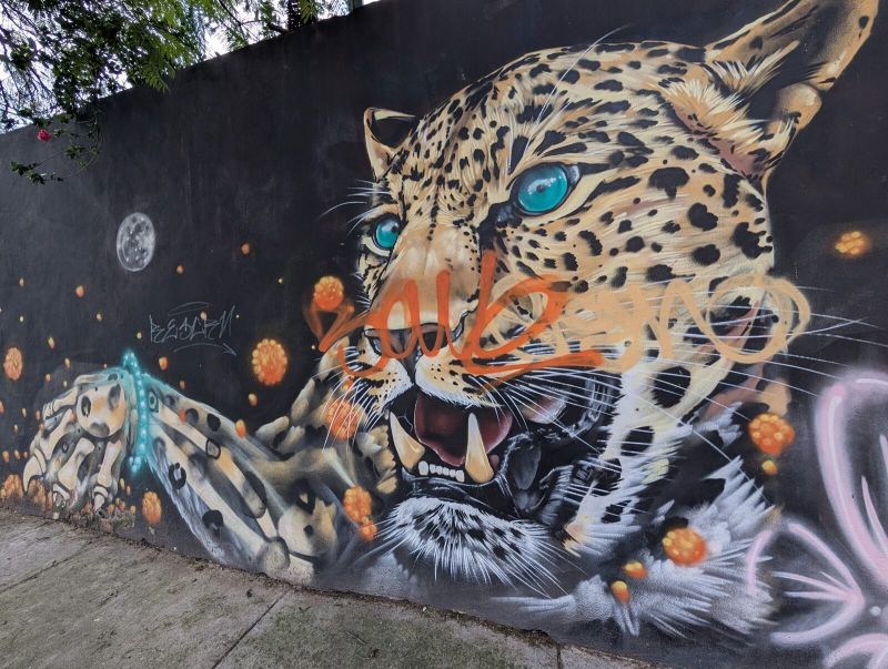 Snarling jaguar
