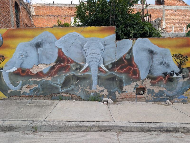 Three elephants