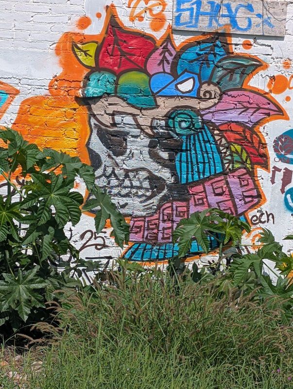 Crowned skull