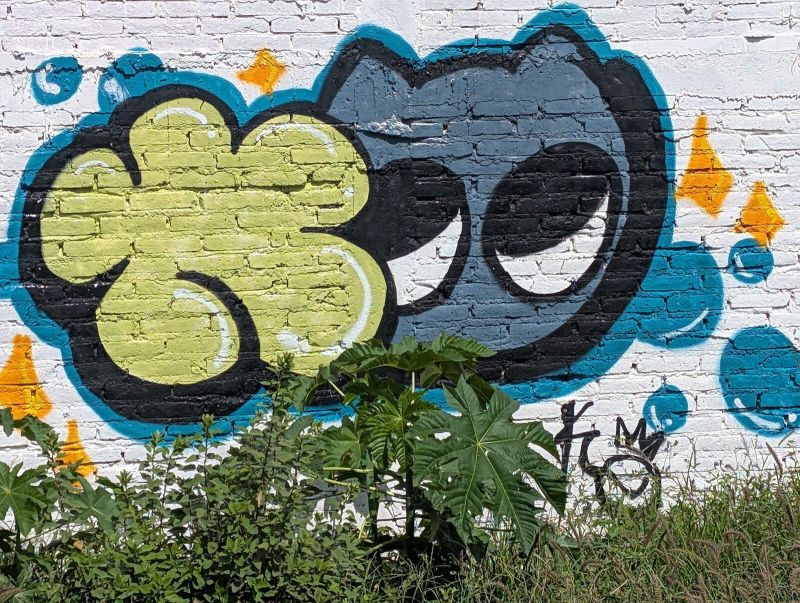 Green bubble throw-up