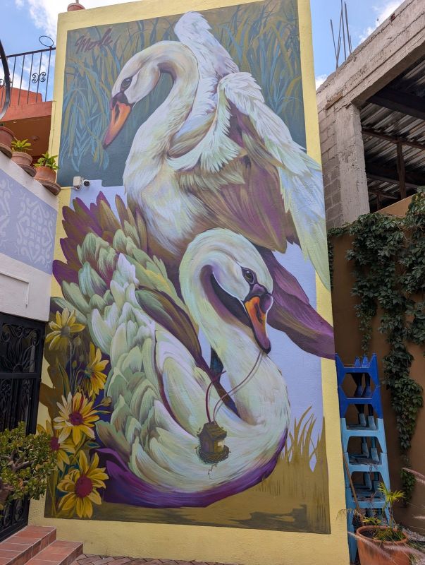 Two swans and a hanging house