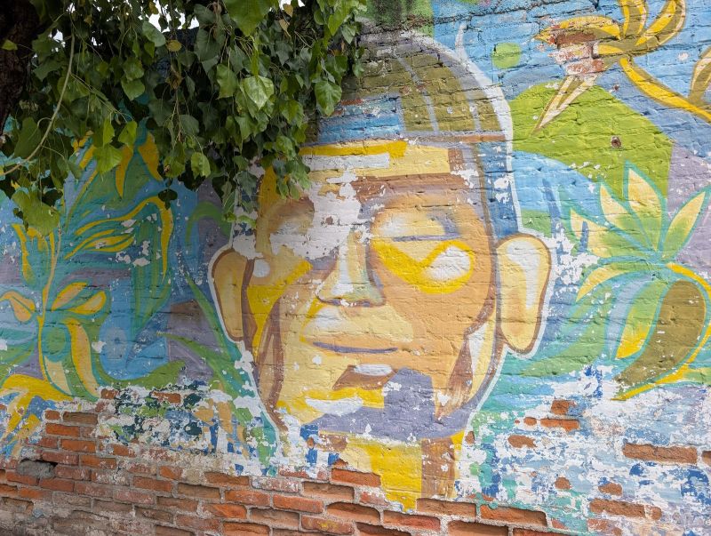 Indigenous face in foliage