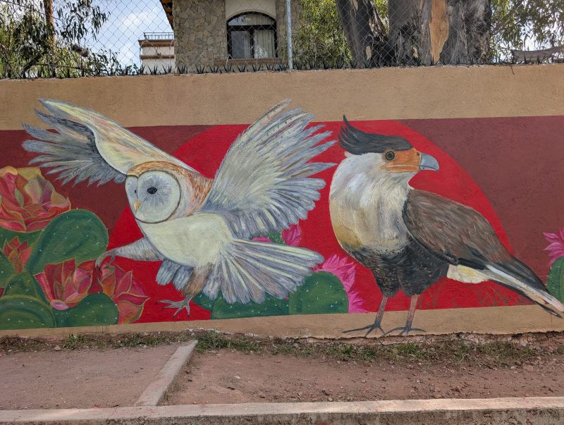 "Las Aves: Between Earth and Sky"