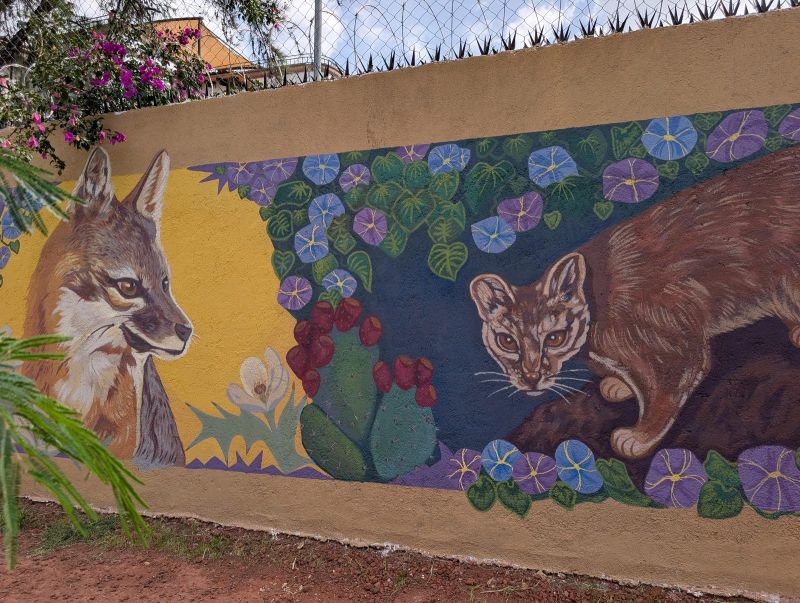 "Our Hidden Neighbors"