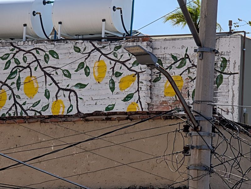 Lemon branch