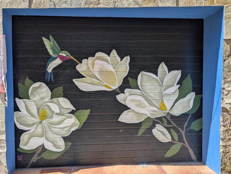 Hummingbird and magnolias