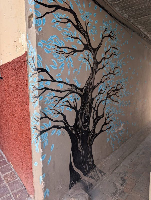 Blue-leafed tree