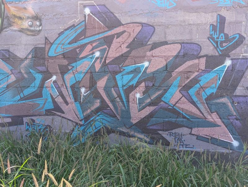 Blue and rose wildstyle