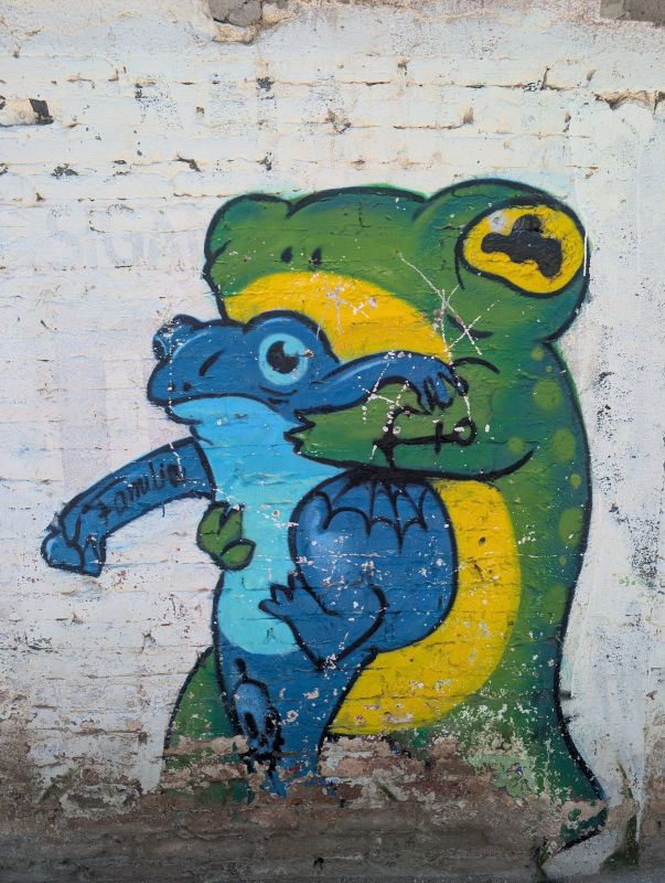 Two frogs embracing