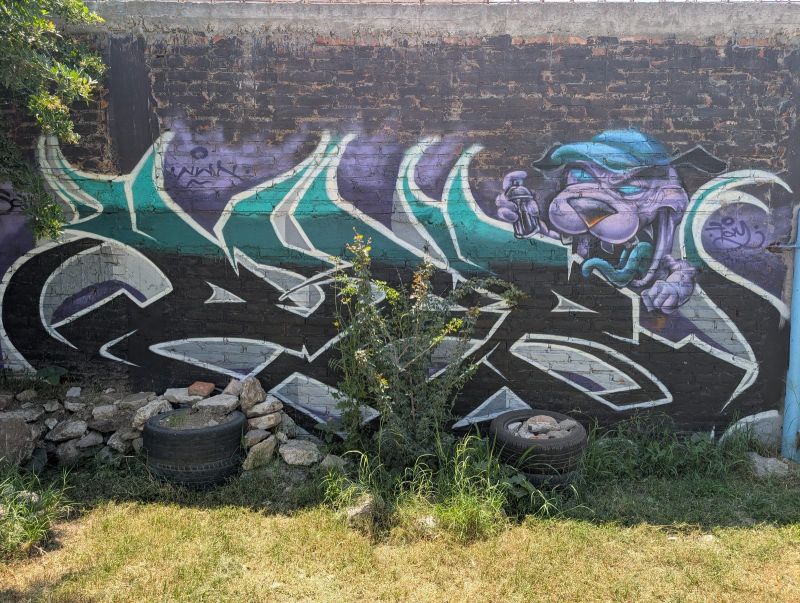 Panther with spray can