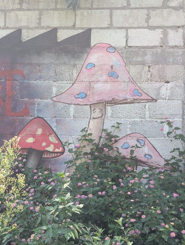 Smiling toadstools