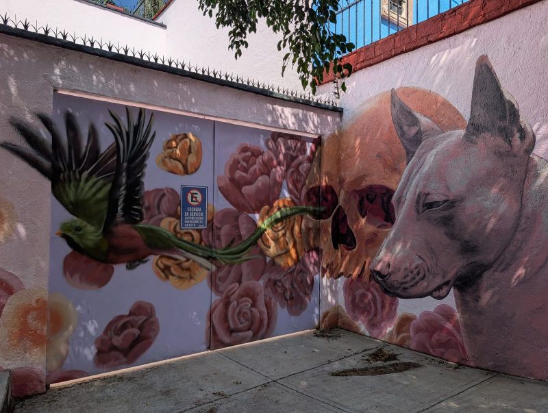 Xolo, skull and roses