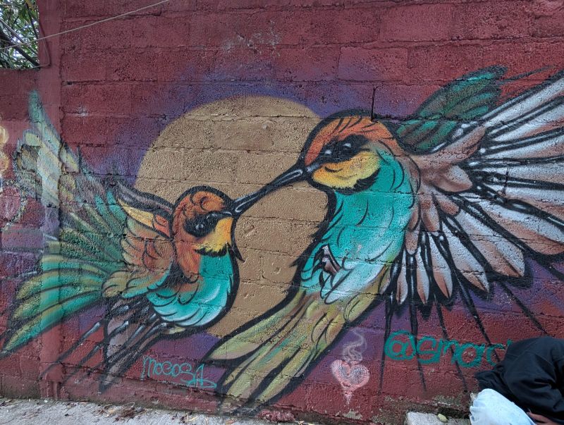 Hummingbird pair