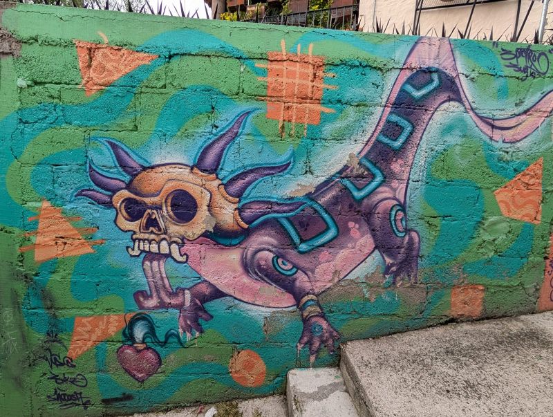 Skull-headed axolotl
