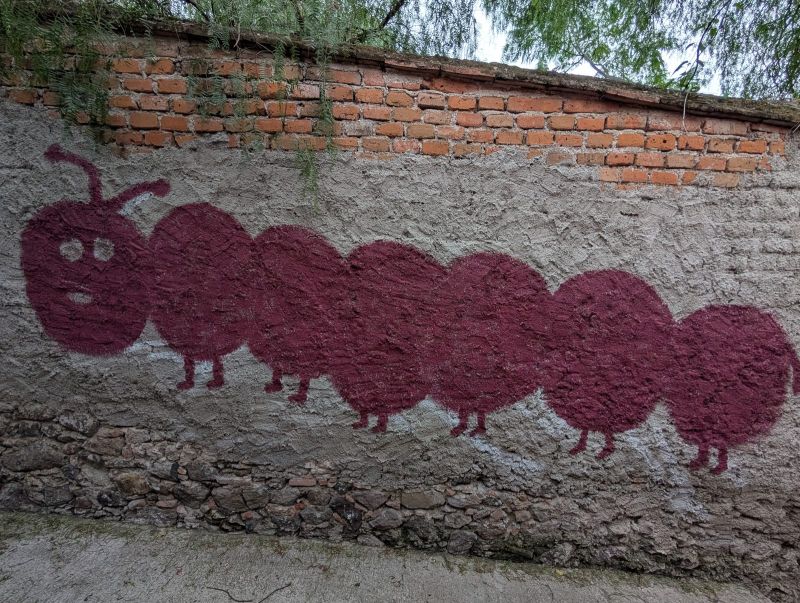Maroon caterpillar