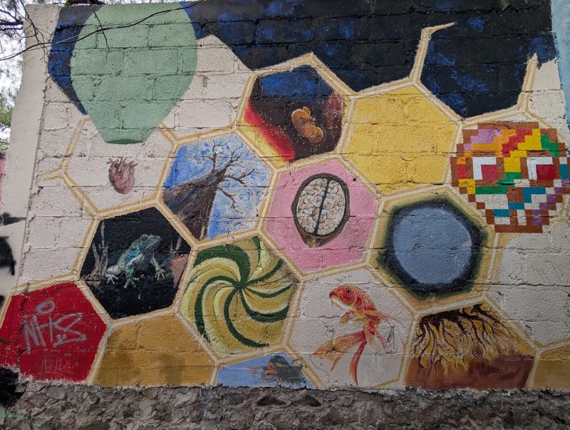 Honeycomb of images
