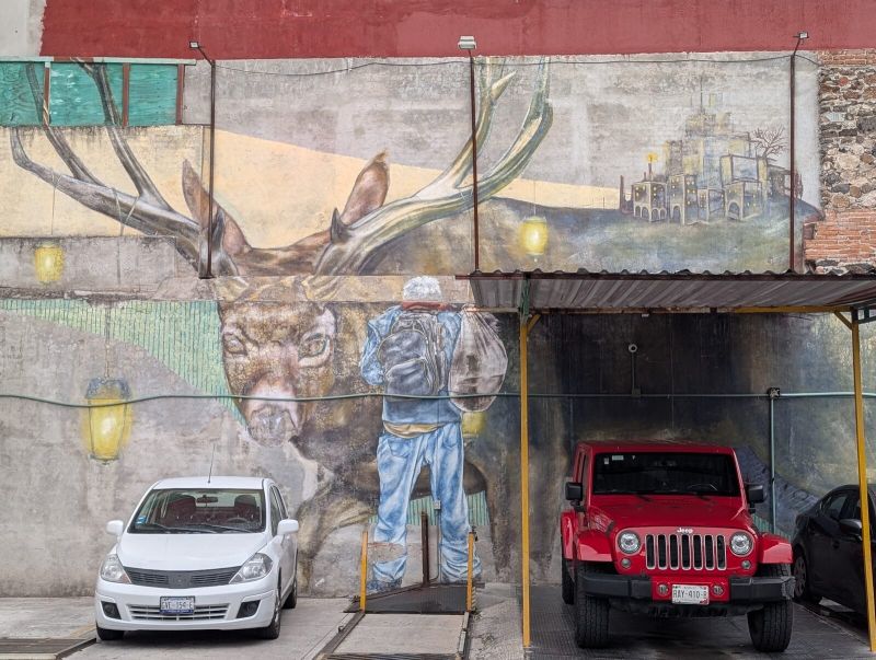 Traveler and deer
