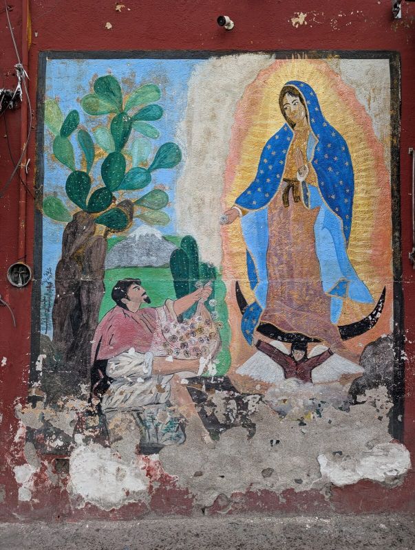 Juan Diego's roses
