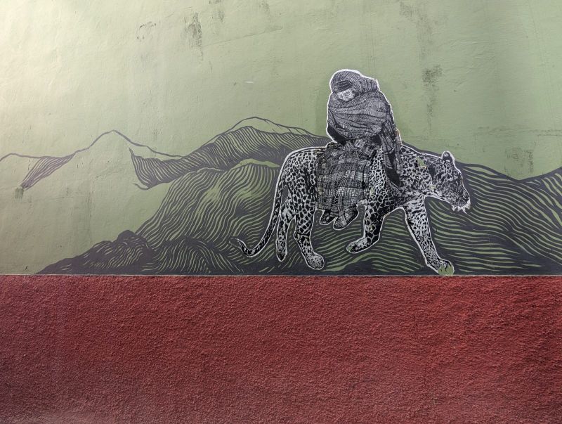 Rider on a jaguar