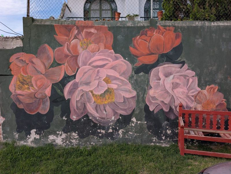 Blush and coral peonies