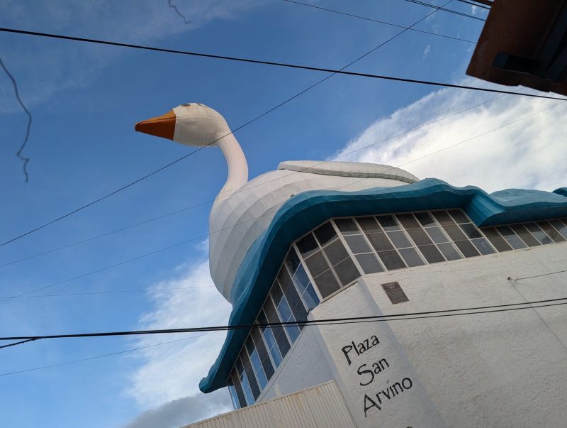 Famous Giant Goose