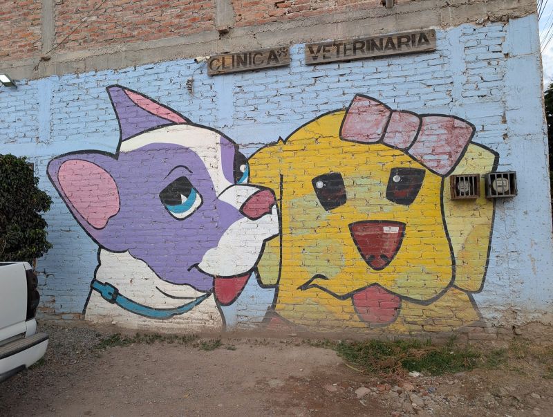 Cartoon cat and dog