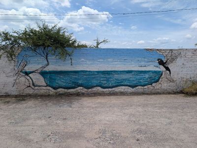 Colibríes sobre el agua
