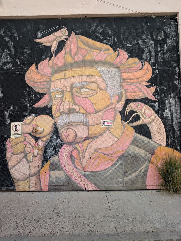 Retrato de Guerrero Mireles