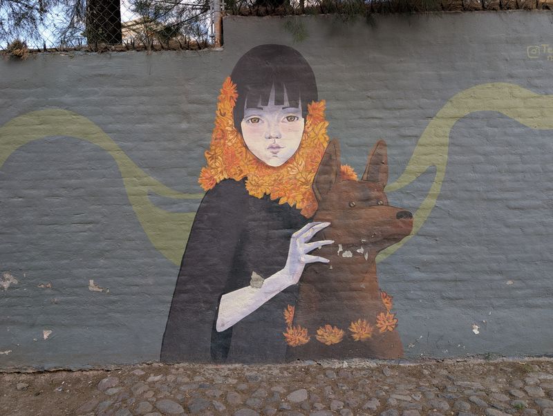 Niña con capucha de cempasúchil