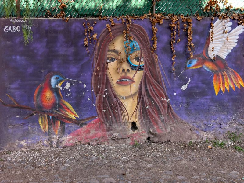 Mujer de ojo glitch y colibríes