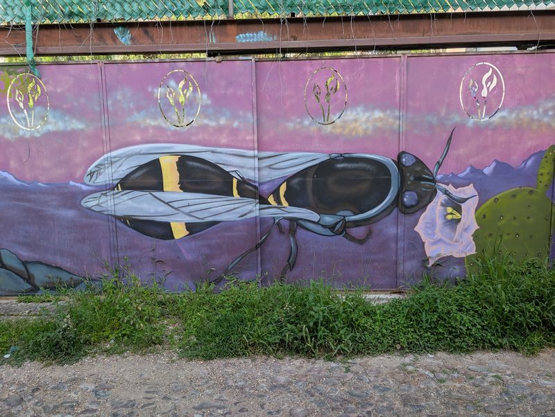 Abeja gigante sobre el desierto