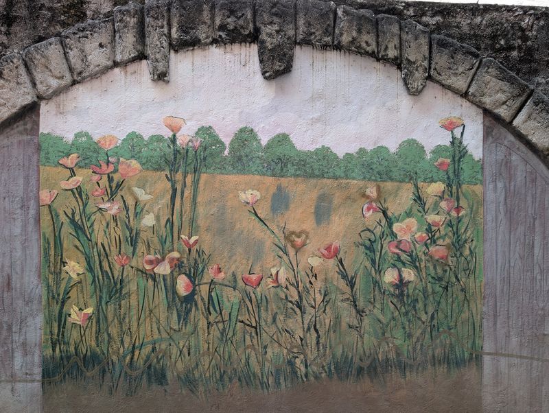 Prado de amapolas
